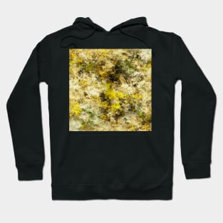 Finding yellow rocks Hoodie